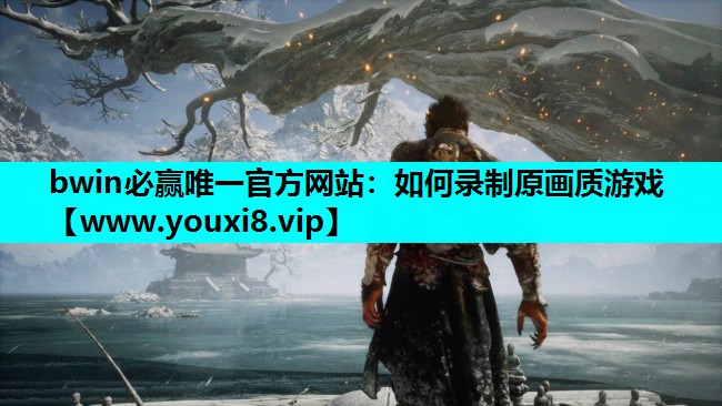 bwin必赢唯一官方网站：如何录制原画质游戏