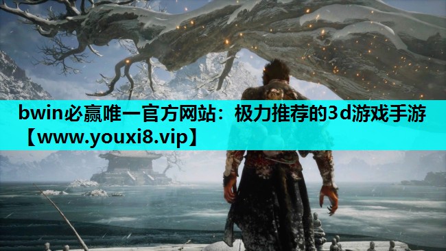 bwin必赢唯一官方网站：极力推