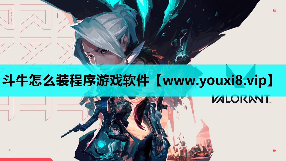斗牛怎么装程序游戏软件