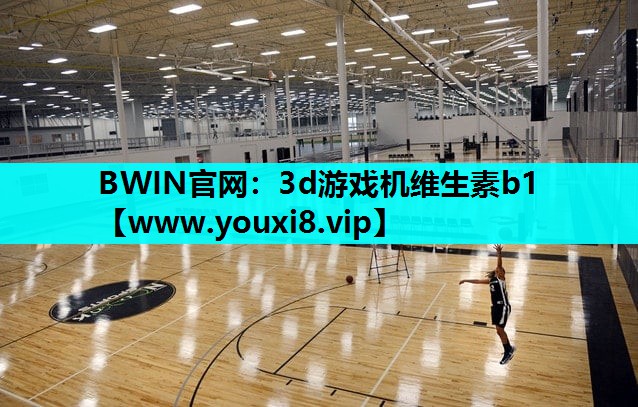 3d游戏机维生素b1